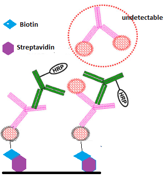 首页- 英国立博ladbrokes公司官网