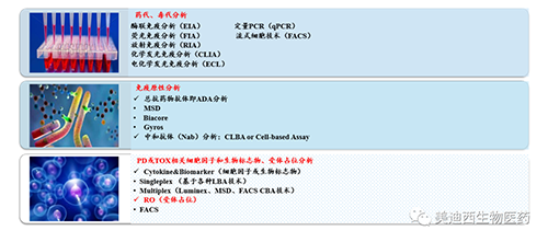 立博ladbrokes生物技术药物分析部服务内容