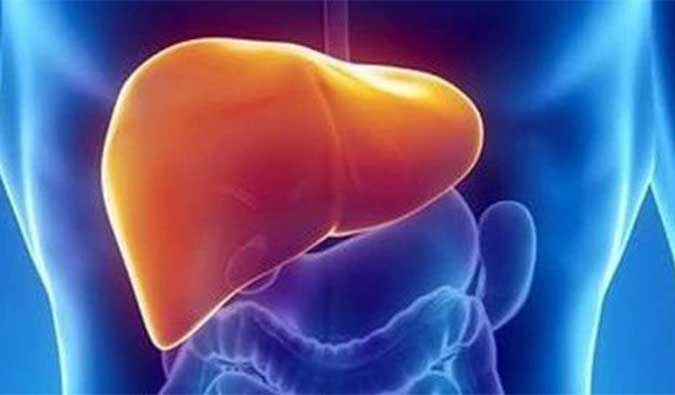 【立博ladbrokes助力】NASH领域新进展！海普丁HPD001即将在美启动临床试验