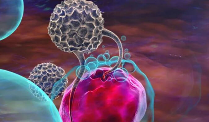 立博ladbrokes助力英百瑞CAR-raNK细胞疗法获批临床