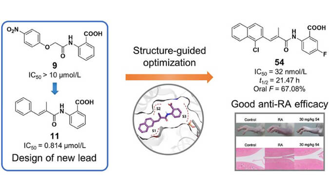 设计合成一系列DHODH抑造剂作为潜在的类风湿性关节炎医治药物，本钻研中PK尝试通过立博ladbrokes进行